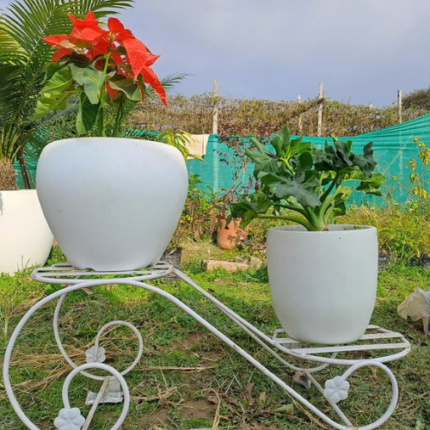 Iron Double Plant Stand